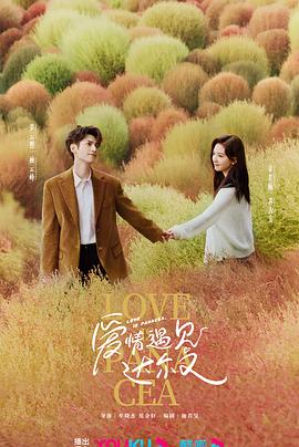 泰州seo优化加盟